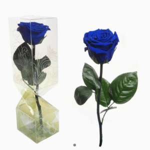 ROSA PRESERVADA TALLO CORTO AZUL OSCURO